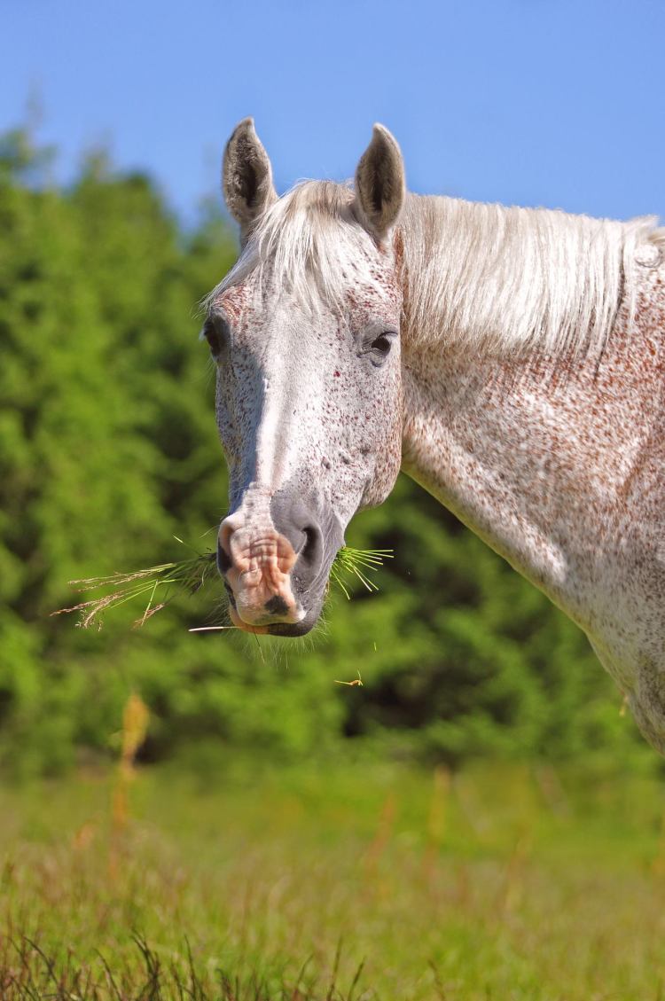 10317745_10152297453662842_6023809049432329410_o