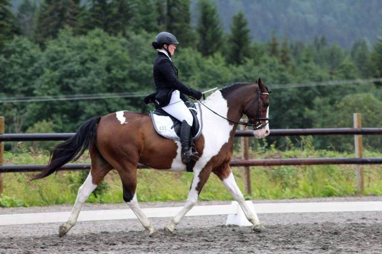 11938086_10153614869059243_8326784395471875091_n