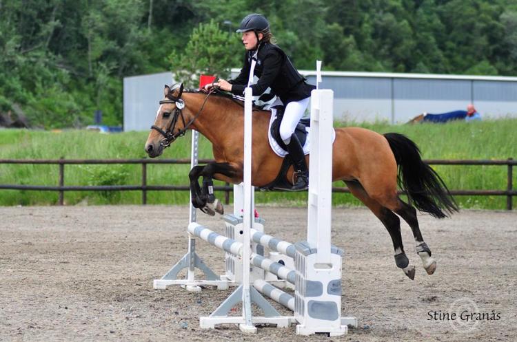 1062650_10151539480122842_90456386_n