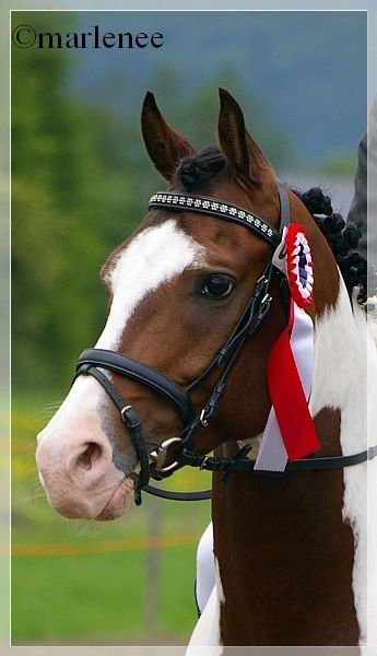 28453_400482811916_4626564_n